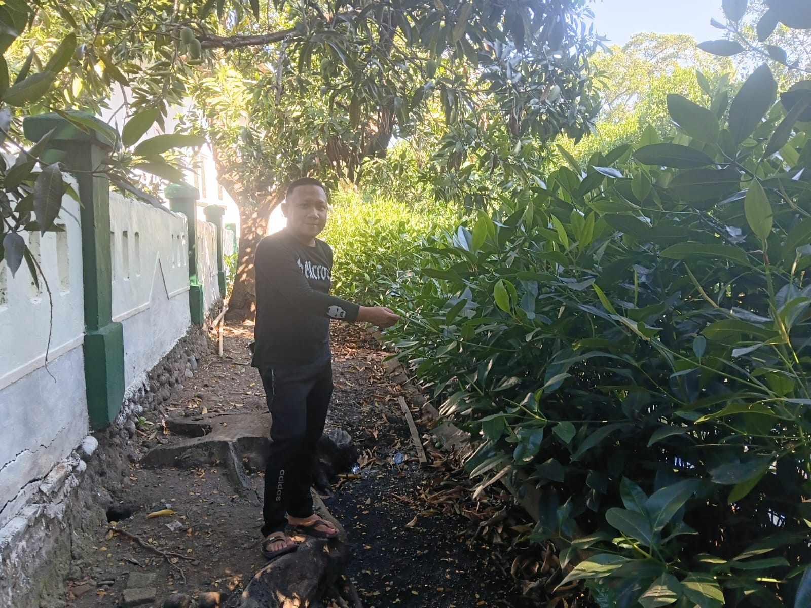 🌿 MESKI SEDANG CUTI, LURAH LEMBANG TETAP TURUN LANGSUNG! Ratusan Bibit Mangrove Diserahkan Kodim 1410/Bantaeng, Semangat Kolaborasi Demi Lestarinya Lingkungan